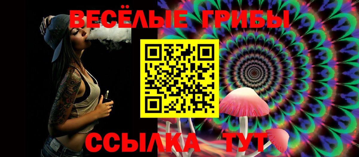 Петропавловск-Камчатский  Галлюциногенные грибы Psilocybe  Вход с VPN 