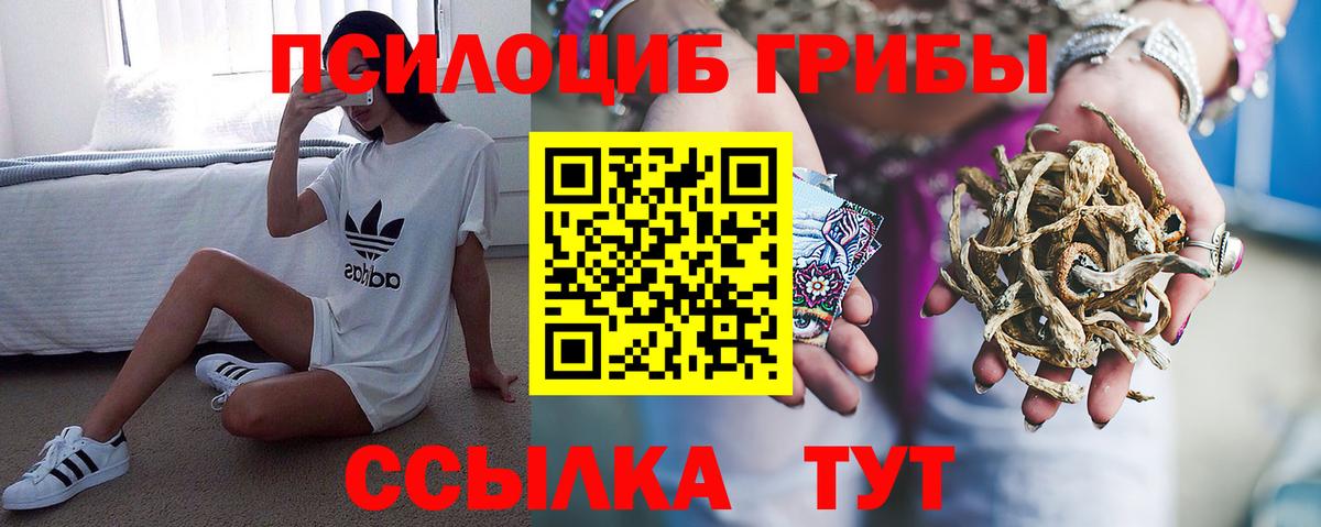 Псилоцибиновые грибы Cubensis Петропавловск-Камчатский