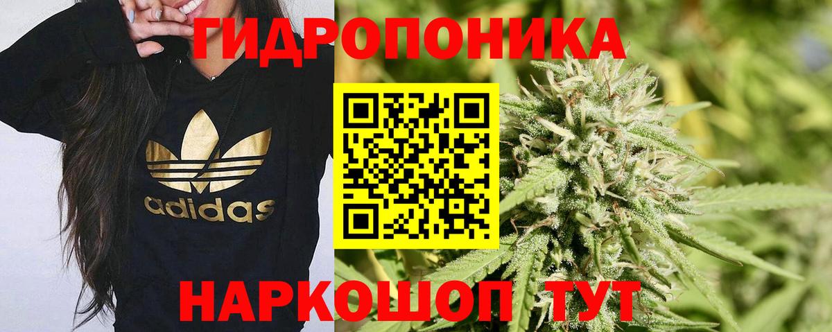 Alpha-PVP СОЛЬ кристаллы  Гашиш  MDMA  Конопля  Петропавловск-Камчатский  Вейп ТГК  Меф кристаллы  Вход с VPN  Мефедрон  Экстази 
